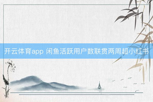 开云体育app 闲鱼活跃用户数联贯两周超小红书