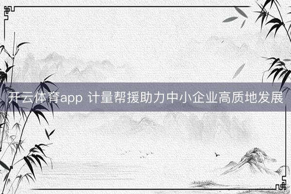 开云体育app 计量帮援助力中小企业高质地发展
