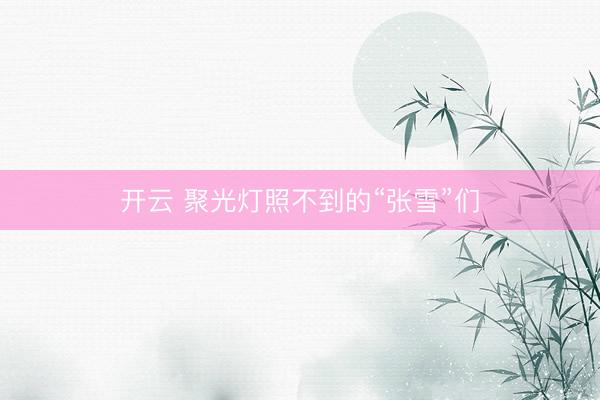 开云 聚光灯照不到的“张雪”们